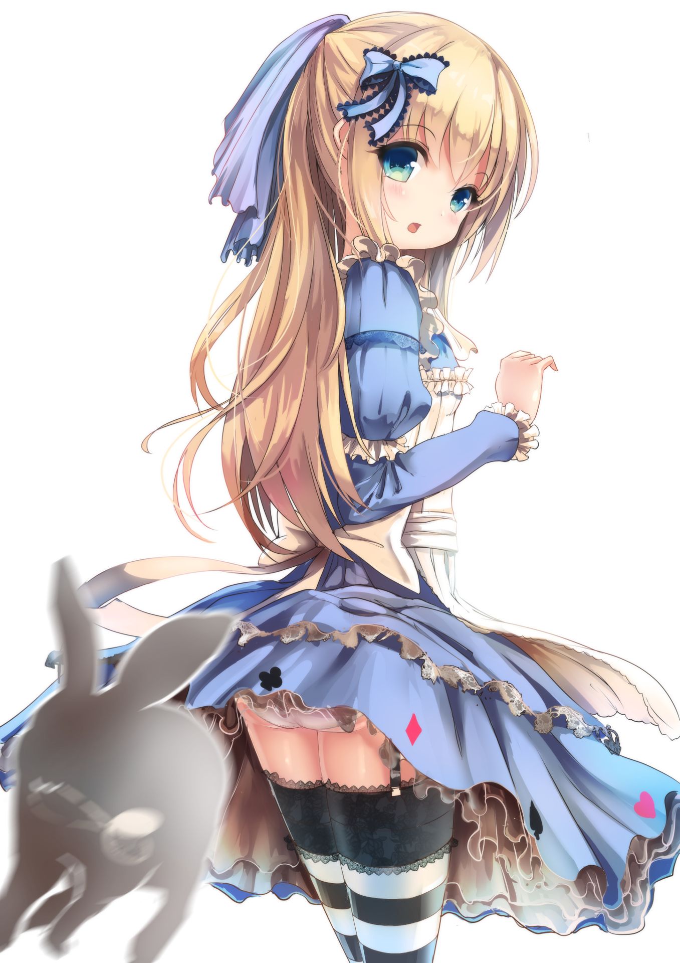 54360169